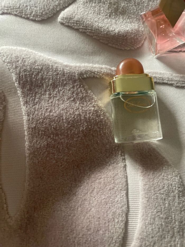 Miniatures de parfum Vintage - photo numéro 12