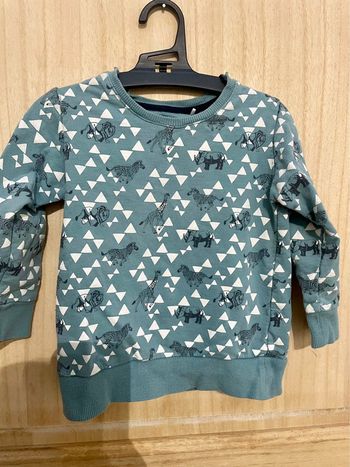 Sweat bleu vert animaux de la savane triangle 2/3 ans