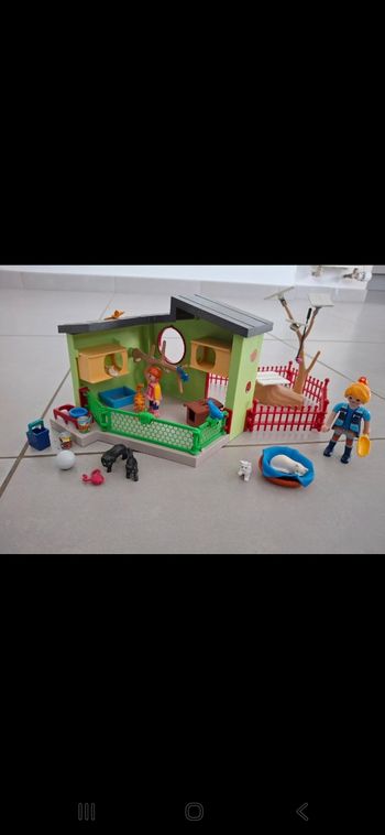Maison des chats playmobil