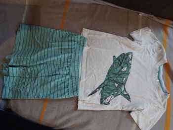 Pyjashort requin
