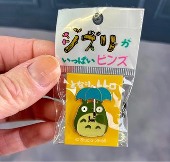 Pins Mon voisin Totoro Japon