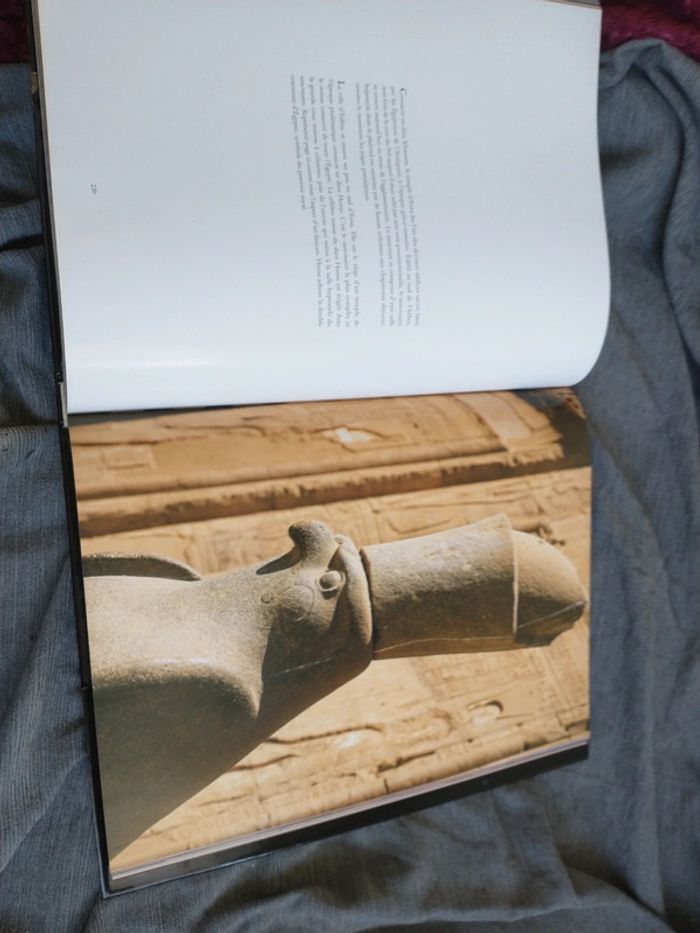Très beau livre hommage à l'Égypte de Sandro vannini - photo numéro 12