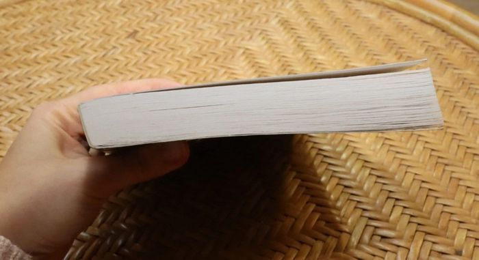 Livre "Histoire des castrats" - photo numéro 4