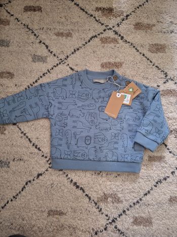 Pull 9 mois bout'chou