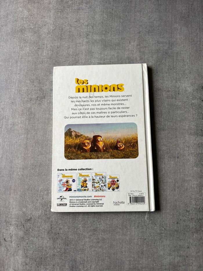 Livre les Minions qui est le chef - photo numéro 5