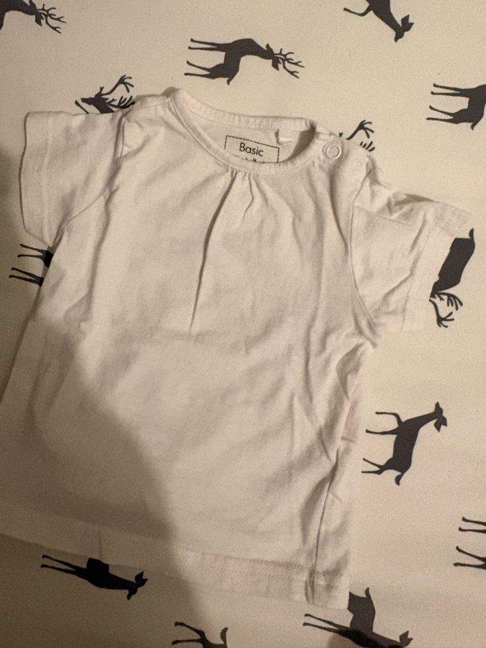 Lot t-shirt - photo numéro 3