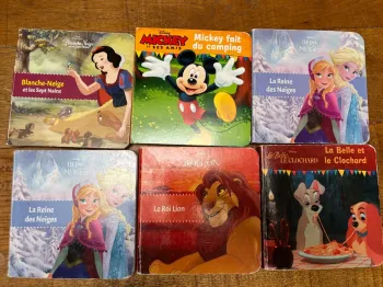 Lot livres