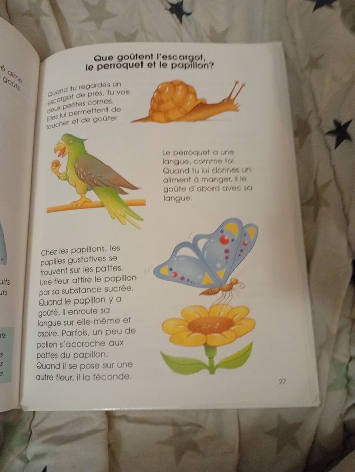 Livre " Les 5 sens ... Dessus dessous" - photo numéro 5