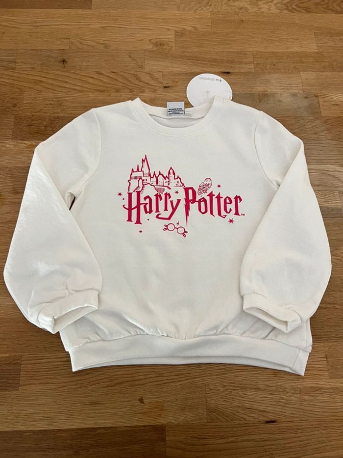 Sweat Harry potter