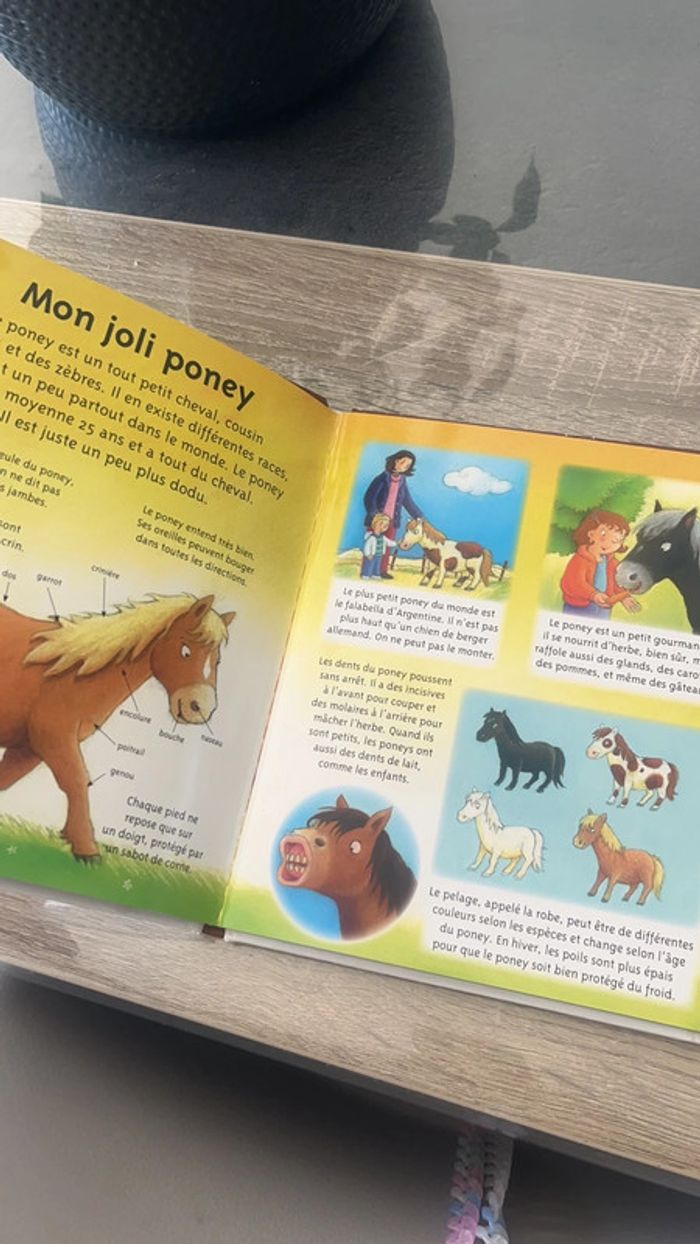 La petite imagerie les poneys - photo numéro 3