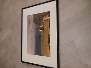 tableau photo paysage et chevaux 64 x 46 cm