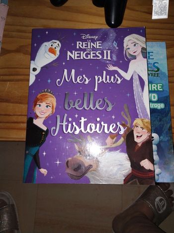 Livre mes plus belles histoires la reine des neiges II