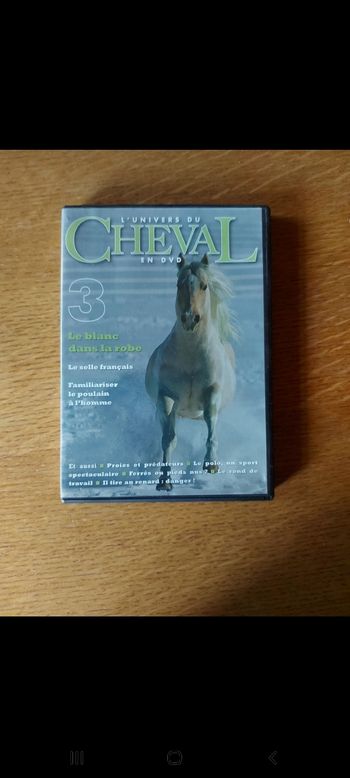 DVD