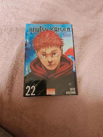 Jujutsu Kaisen tome 22 jaquette alternative comptoir du rêve