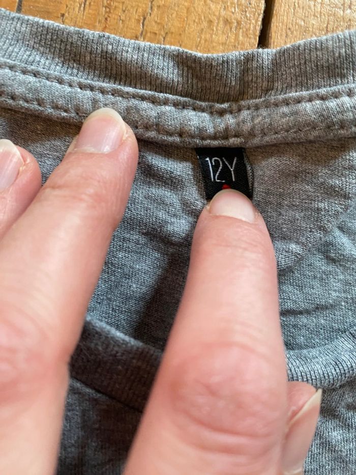 T-shirt gris ours paysage 12 ans - photo numéro 3