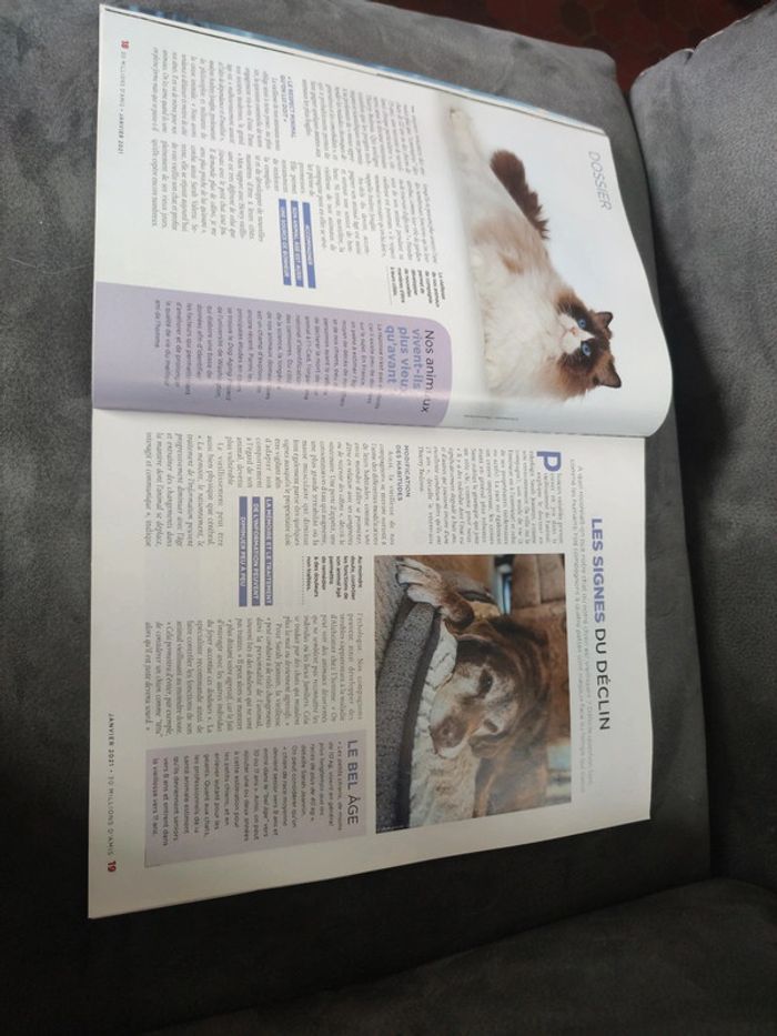 Magazine 30 millions d'amis numéro 391 janvier 2021 - photo numéro 6
