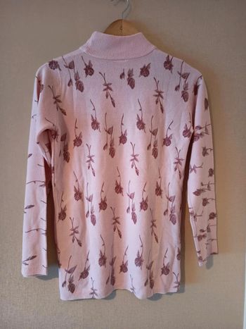 Pull col haut. Femme (D40)