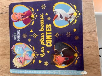 livre la reine des neiges
