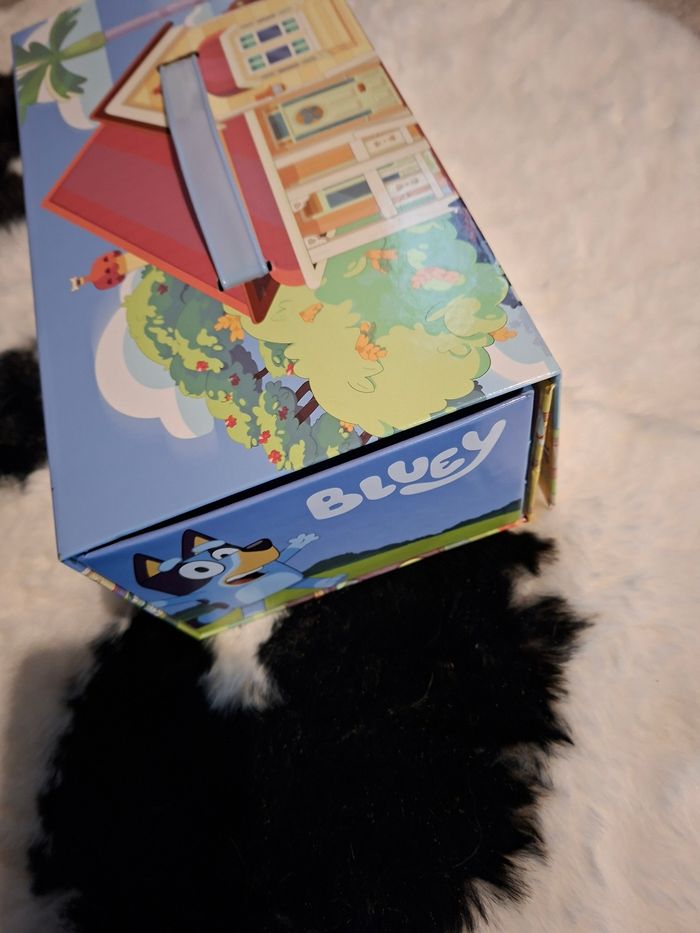 Bluey - photo numéro 10