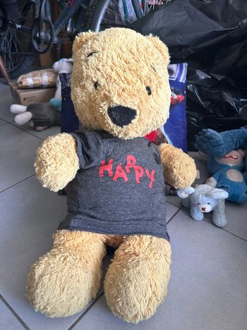 Peluche Winnie