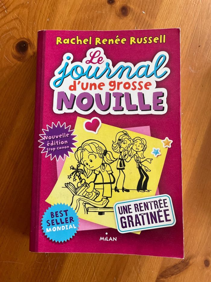 Lot de 2 livres Le journal d’une grosse nouille - photo numéro 2