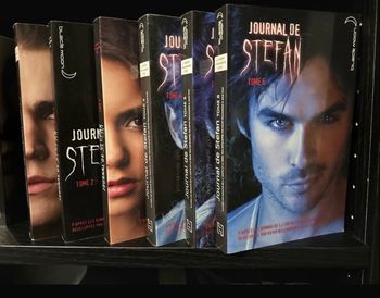 Saga journal de Stefan