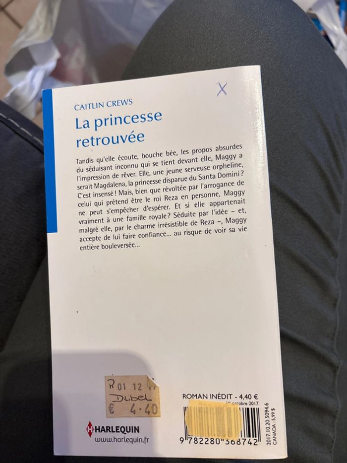 La princesse retrouvée - photo numéro 2