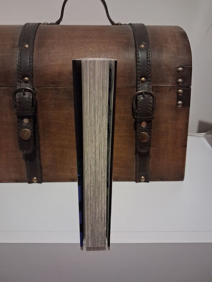 Manga My Hero Academia tome 38 jaquette collector alternative exclusive - photo numéro 3