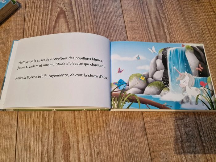 Livre - photo numéro 2