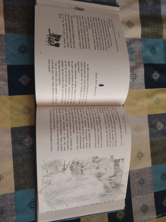 Livre sur l'éléphant - photo numéro 12