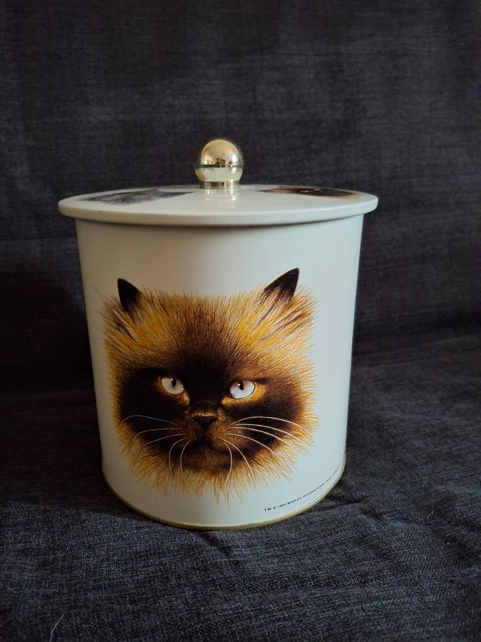 Boîte aluminium chat