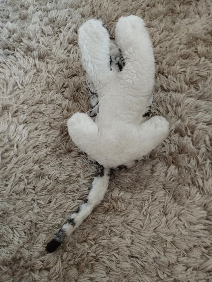 Tigre blanc - photo numéro 4