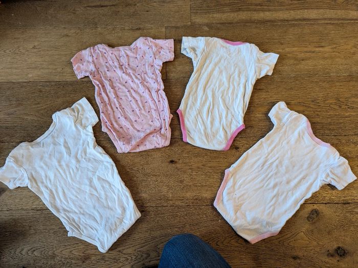 Lot 4 bodies manches courtes gemo 12 mois - photo numéro 6