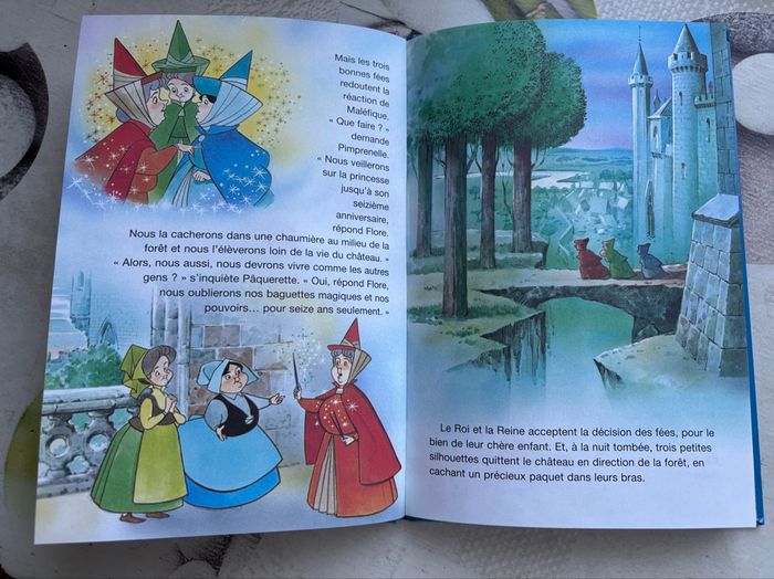 Livre Disney - photo numéro 3