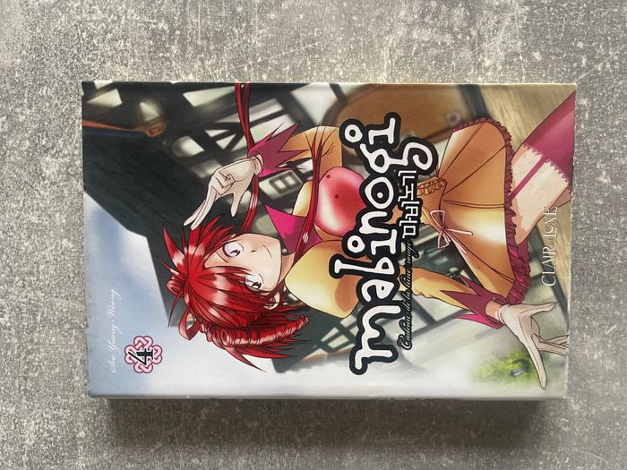 Manga Mabinogi, tome 4 en version française.