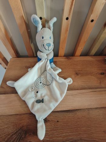 Chien pommette bleu et blanc poisson