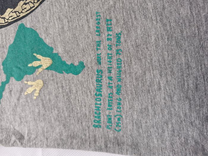T-shirts manches courtes 2/4 ans H&M Gris chiné Squelette de dinosaure Brachiosaure carte du monde - photo numéro 6