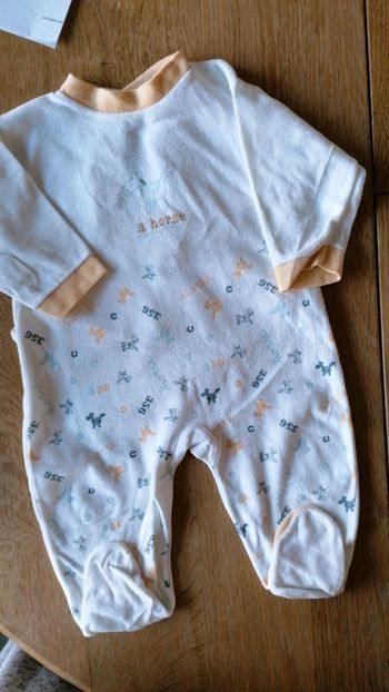 Grenouillère 'A horse'