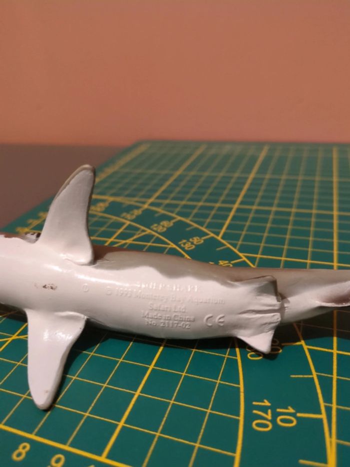 Requin Safari - photo numéro 3