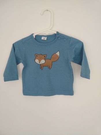 Tee shirt Renard bébé garçon 3 mois