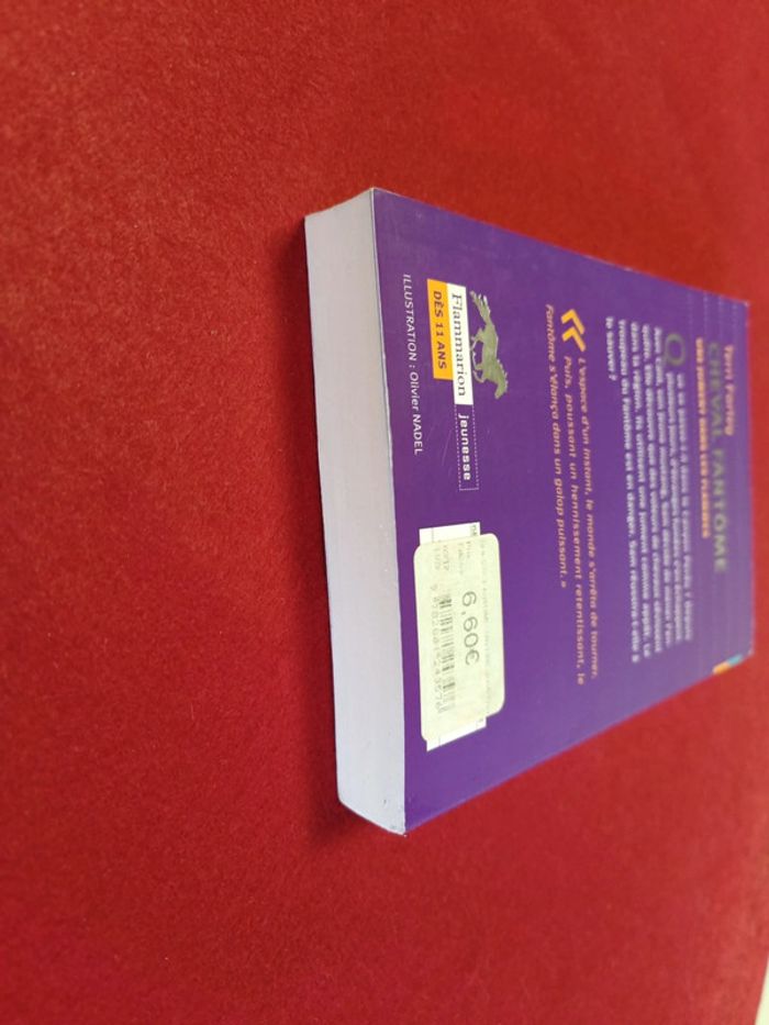 Cheval fantôme Tome 3 " Une jument dans les flammes " Terri Farley - photo numéro 14