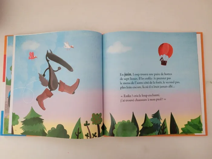Lot de 8 livres grand format Le loup par Auzou - photo numéro 7