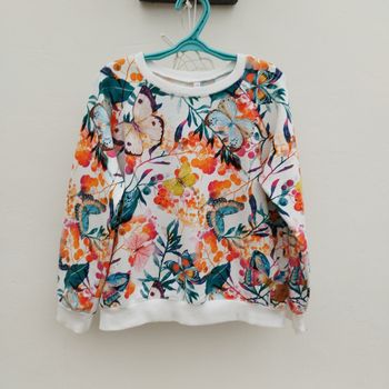 Pull papillon coloré 