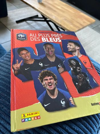 Livre foot panini