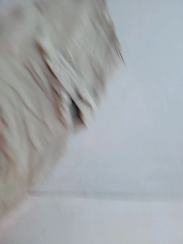 Leggings fille 10 ans kaki - photo numéro 4