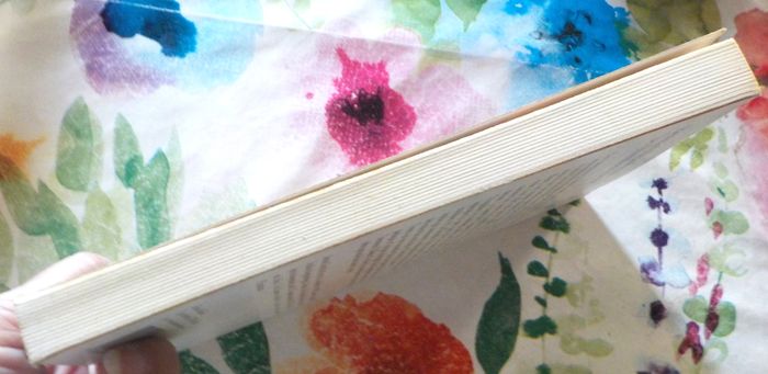 LES HOMMES A TERRE de Bernard GIRAUDEAU Ed. Métailié - photo numéro 5