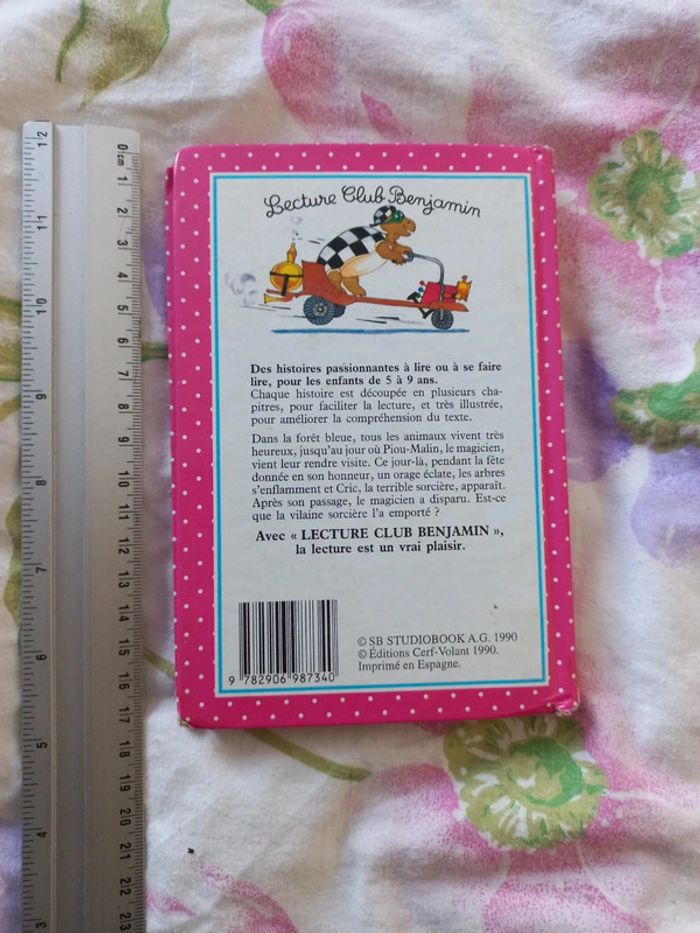 Livre la sorcière et le magicien - photo numéro 2