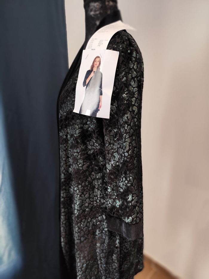 Blazer - photo numéro 4