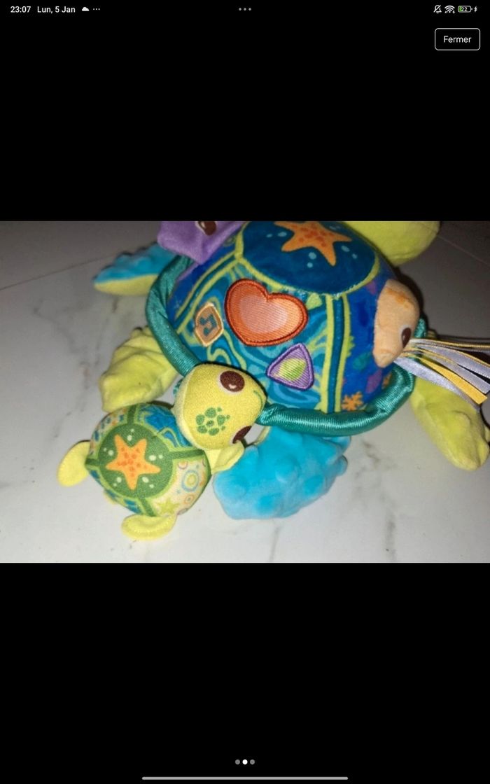 Maman tortue et son bébé - photo numéro 2