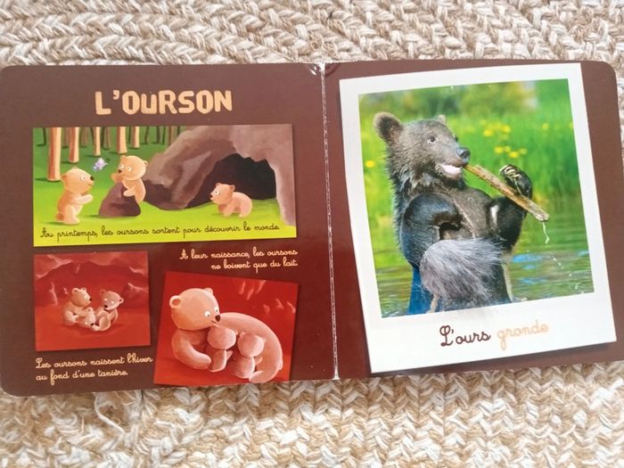 Lot 5 livres bébé - photo numéro 10